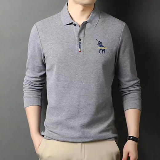 长袖POLO衫秋冬季男士翻领大码上衣中青年刺绣休闲宽松男装 商品图1