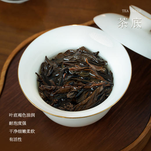 懂茶帝国非遗韦洁群老师六堡茶2009年荒野老枞六堡茶50g 商品图3