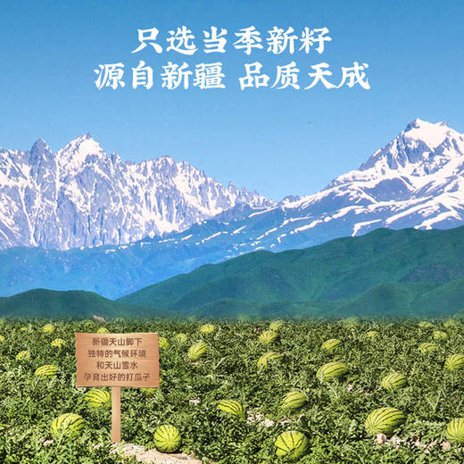 洽洽 口水话梅味 西瓜子 120g/袋 商品图3