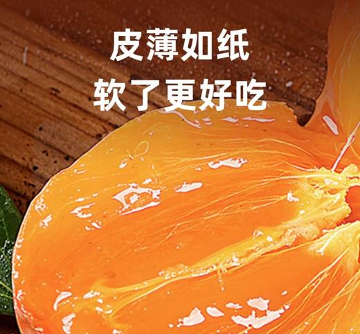 火罐柿（3斤/篮） 商品图2