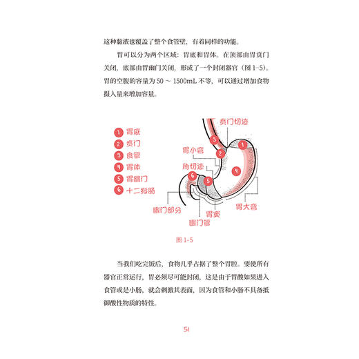 消化的秘密 张明鑫主译 揭秘消化系统运作机制 解决消化问题的全面指南 助您拥有健康肠胃 辽宁科学技术出版社9787559134721 商品图4