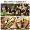 【云南高山有机羊肚菌】头茬新货 太阳自然晒干 精挑细选 大小均匀 纹路清晰 煲汤 炖煮 素炒皆可 2种规格任选 商品缩略图5