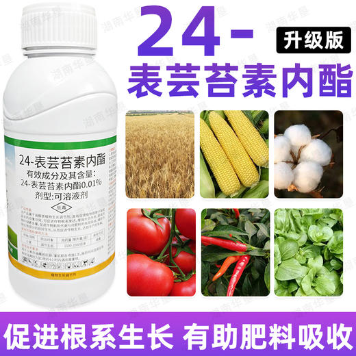 正品24表芸苔素内酯小麦大田作物丰产增收植物生根壮苗生长调节剂 商品图3