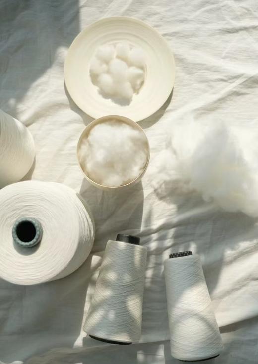 一体成衣无缝羊绒羊毛基础毛衫 商品图9