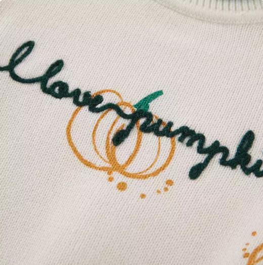 英氏儿童毛衣男宝宝宽松圆领套头毛衫 YRMEJ30128A01长袖秋装 商品图2