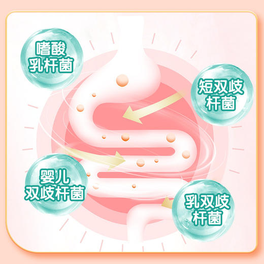 【2瓶/246，3瓶/328 VitaRealm】新加坡维乐原 儿童益生菌调理肠胃60粒 商品图1