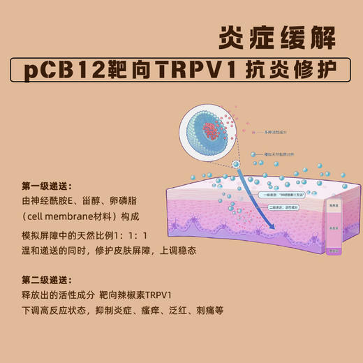 品牌直发 第十四章 精颜焕活护理双剂面膜（柔肤水 36mL+面膜粉 23g） 商品图2