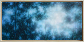 张利平《竹1》原作