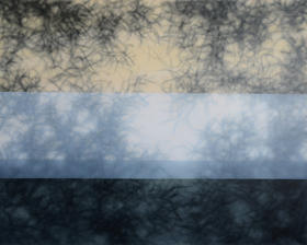 张利平《影25》原作