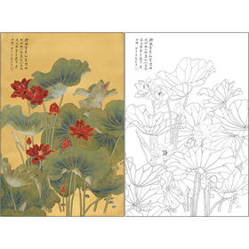 俞致贞花鸟工笔画白描底稿《荷花》临摹勾线高清打印稿ZZ24