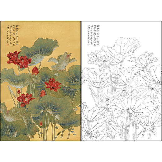 俞致贞花鸟工笔画白描底稿《荷花》临摹勾线高清打印稿ZZ24 商品图0