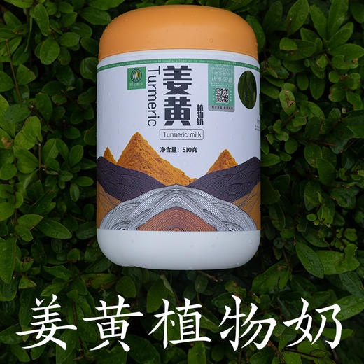 姜黄植物奶 | 510g/罐 姜黄腰果豆浆黑胡椒粉 黄金奶姜黄素 冲调饮品 她念她乡 商品图5