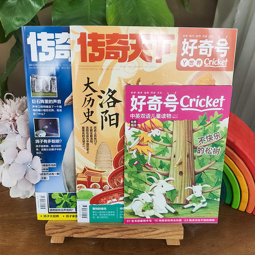 2025《好奇号》订阅
百年经典Cricket Media蟋蟀童书科普系列中文翻译版 商品图5