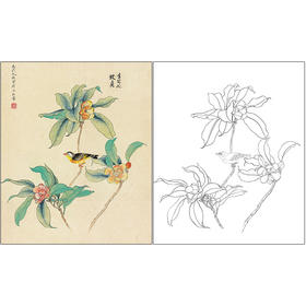 俞致贞花鸟工笔画白描底稿《含笑花》临摹勾线高清打印稿ZZ07