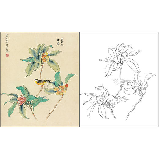 俞致贞花鸟工笔画白描底稿《含笑花》临摹勾线高清打印稿ZZ07 商品图0