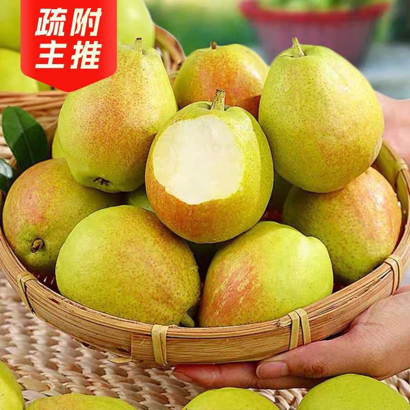 新疆香梨5斤（一级果100g-120g）