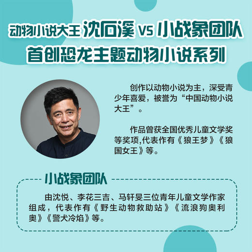 天才迅猛龙 沈石溪 沈悦/著 安徽少年儿童出版社 商品图1