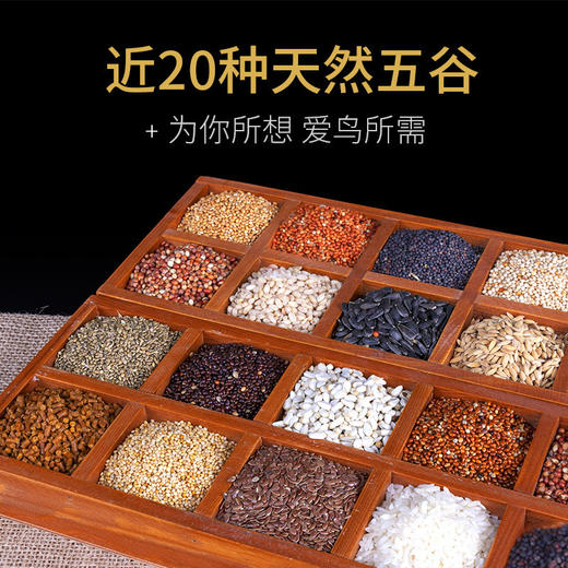 鹦鹉主粮500g/袋混合五谷亚麻籽 鸟类主食饲料批发 商品图2