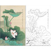 俞致贞花鸟工笔画白描底稿《荷花图》临摹勾线高清打印稿ZZ20 商品缩略图0