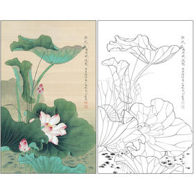俞致贞花鸟工笔画白描底稿《荷花图》临摹勾线高清打印稿ZZ20