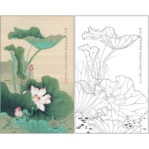 俞致贞花鸟工笔画白描底稿《荷花图》临摹勾线高清打印稿ZZ20 商品图0