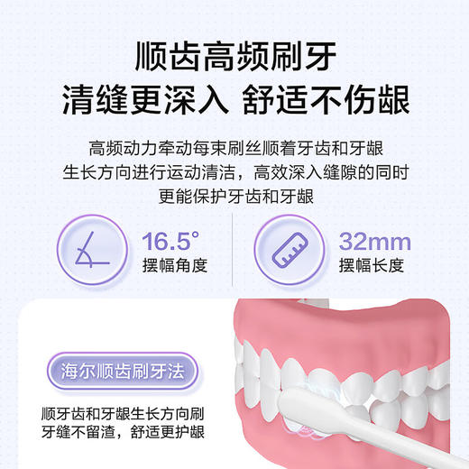 海尔（Haier）声波电动牙刷 成人男女款套装 自动电动牙刷 父亲节礼物送男友/送女友礼物 HT11 商品图4