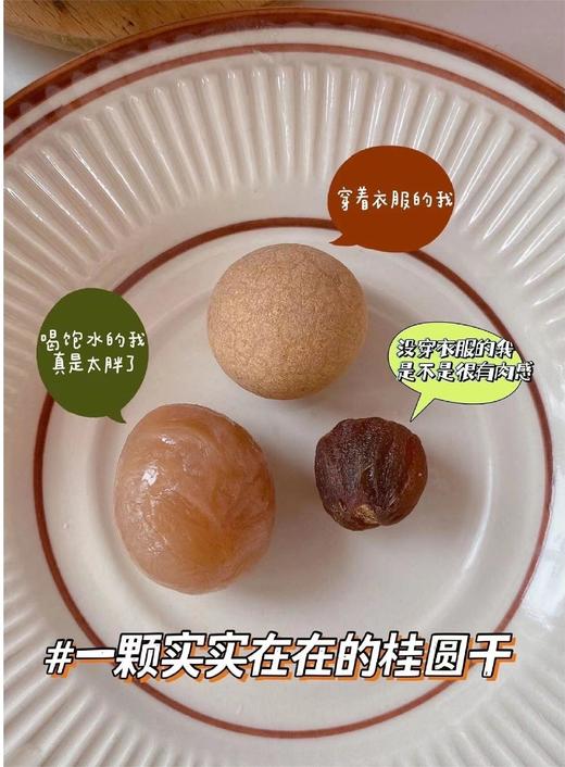 高品质12A级漳州烘新桂圆干 商品图1