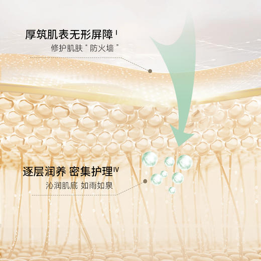 品牌直发 ECOOKING 依蔻庭 酵母密集滋润精华水 200mL 商品图1