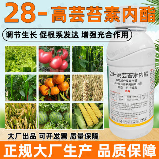 28-高芸苔素内酯小麦白菜植物生长调节剂叶面肥调节生长生根壮苗 商品图3