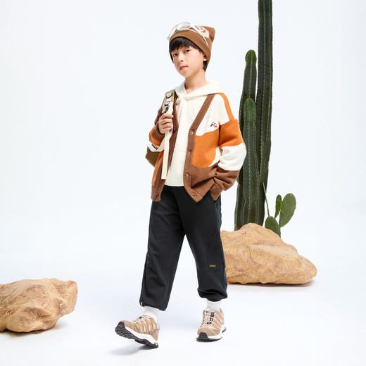 男童潮趣拼色开衫毛衣冬季新款安奈儿童装实体店同款AB444599 商品图3