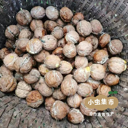 【2025年新收】生态纸皮干核桃 2斤/5斤/8斤 | 合作农友生产，产自云南永仁，生产者：康丽 *【公平贸易农人定价】 商品图5