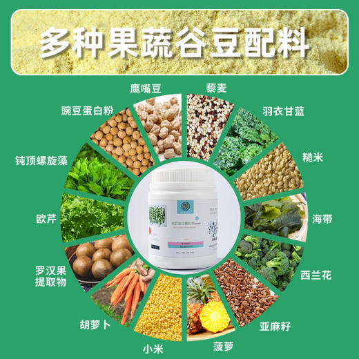 【自营】豌豆蛋白植物粉｜480g/罐 代餐高蛋白营养冲泡 她念她乡 商品图4