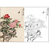 俞致贞花鸟工笔画白描底稿《 国色天香》牡丹临摹勾线高清打印稿ZZ21 商品缩略图0