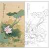 俞致贞花鸟工笔画白描底稿《日映荷花晚更红》临摹勾线高清打印稿ZZ19 商品缩略图0