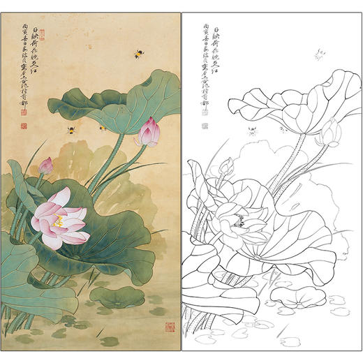 俞致贞花鸟工笔画白描底稿《日映荷花晚更红》临摹勾线高清打印稿ZZ19 商品图0