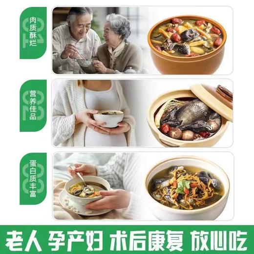 农家散养竹林乌鸡 1.6斤*2只品质有保障活鸡现杀新鲜直达 顺丰发货 商品图5