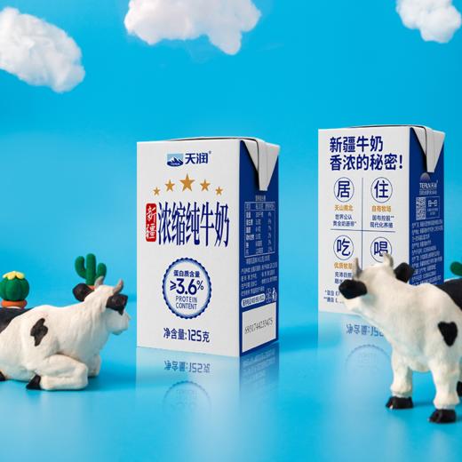 天润浓缩纯牛奶（康美砖125g） 商品图0