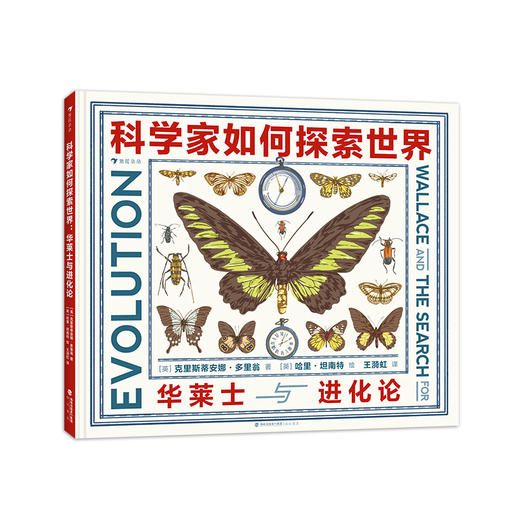 童书妈妈X浪花朵朵专场  科学家个人传记 4本套装（达芬奇+华莱士+达尔文+巴斯德） 商品图4