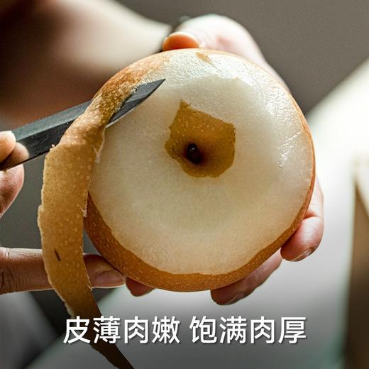 s  孔雀金枝 新疆 冰糖秋月梨 梨子 新疆梨 商品图4