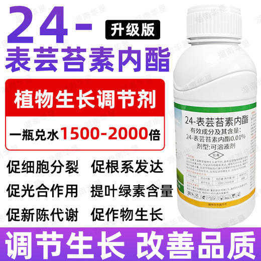 正品24表芸苔素内酯小麦大田作物丰产增收植物生根壮苗生长调节剂 商品图2