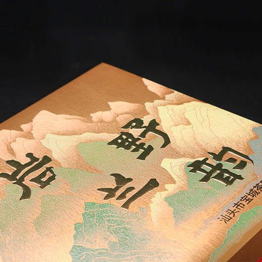 宝城250克程墩高丛水仙乌龙岩茶独立小泡送礼礼盒装B440-1 商品图4