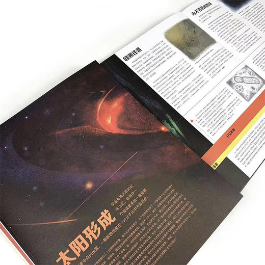 童书妈妈X浪花朵朵专场  地球46亿年：人类出现之前的故事 商品图2