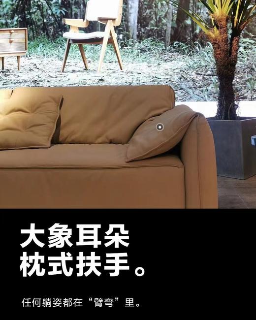 RICCIONE 瑞吉欧WN28824头层黄牛皮大象耳朵沙发 商品图2