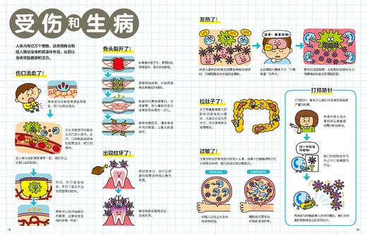 听诊器听一听：身体认知绘本+听诊器 商品图2