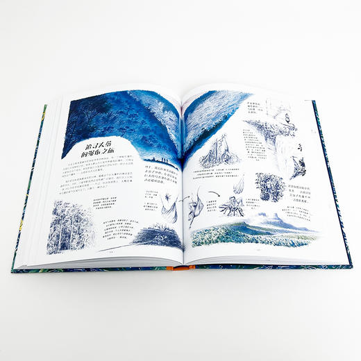  童书妈妈X浪花朵朵专场  踏入荒野：给孩子的野外生存指南 商品图2