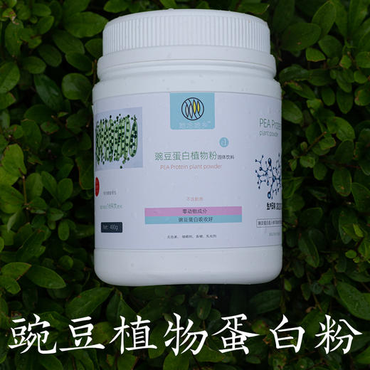 【自营】豌豆蛋白植物粉｜480g/罐 代餐高蛋白营养冲泡 她念她乡 商品图5