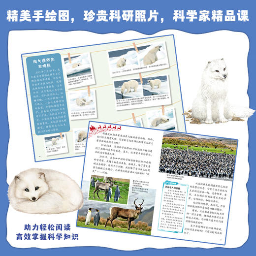 神奇动物在北极 高登义著 北京少年儿童出版社 商品图2