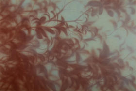 张利平《影41》原作