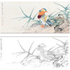 俞致贞花鸟工笔画白描底稿《鸳鸯》临摹勾线高清打印稿ZZ09 商品缩略图0