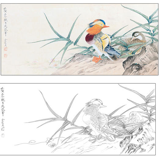 俞致贞花鸟工笔画白描底稿《鸳鸯》临摹勾线高清打印稿ZZ09 商品图0
